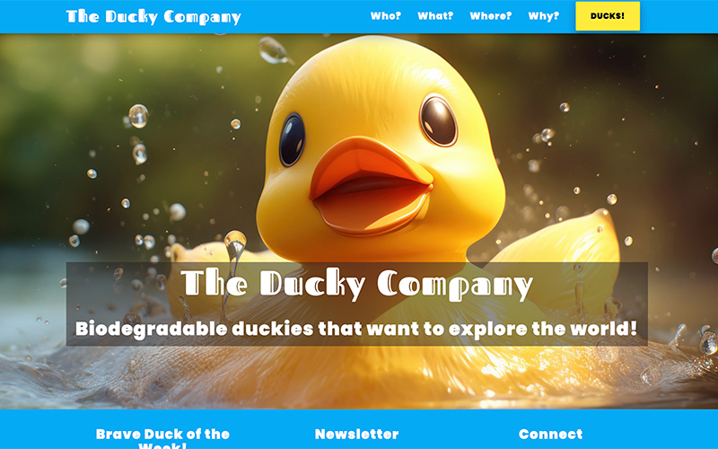 Screenshot of The Ducky Company